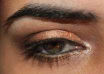 Urban Decay Naked 2 Gold Copper Eye Look